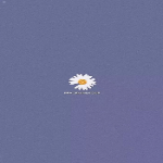 梁丽