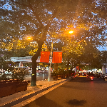 李雨婷